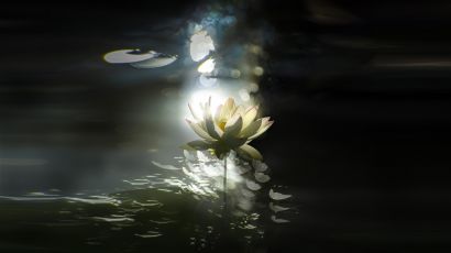 Lotus infinite - a Photographic Art Artowrk by Akitoshi Matsuhara